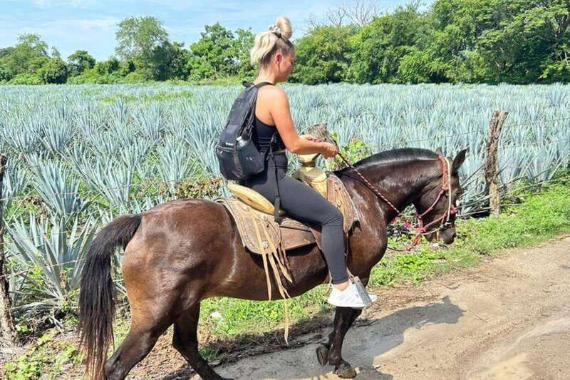 Puerto Vallarta: Horseback Riding, Lunch & Unlimited Drinks - What $145 buys you