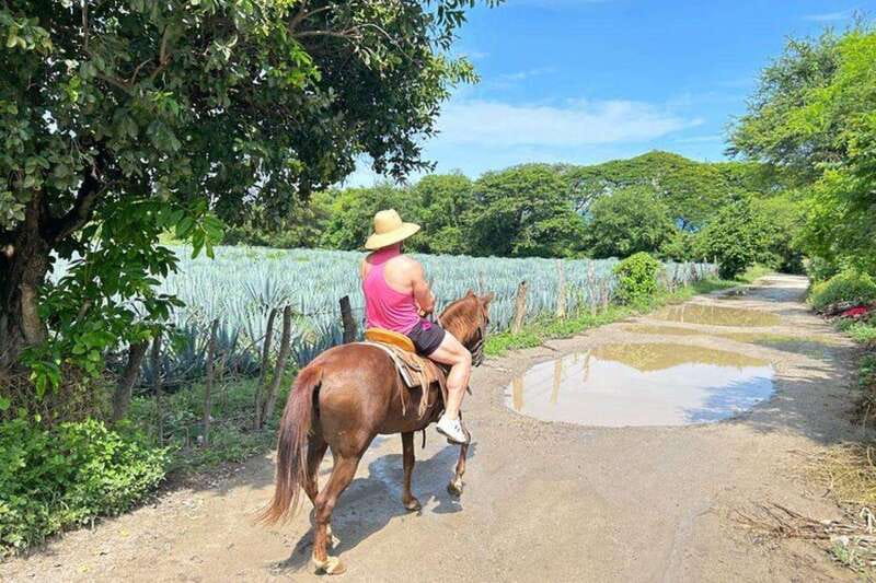 Puerto Vallarta: Horseback Riding, Lunch & Unlimited Drinks - Practical details that make the day easier