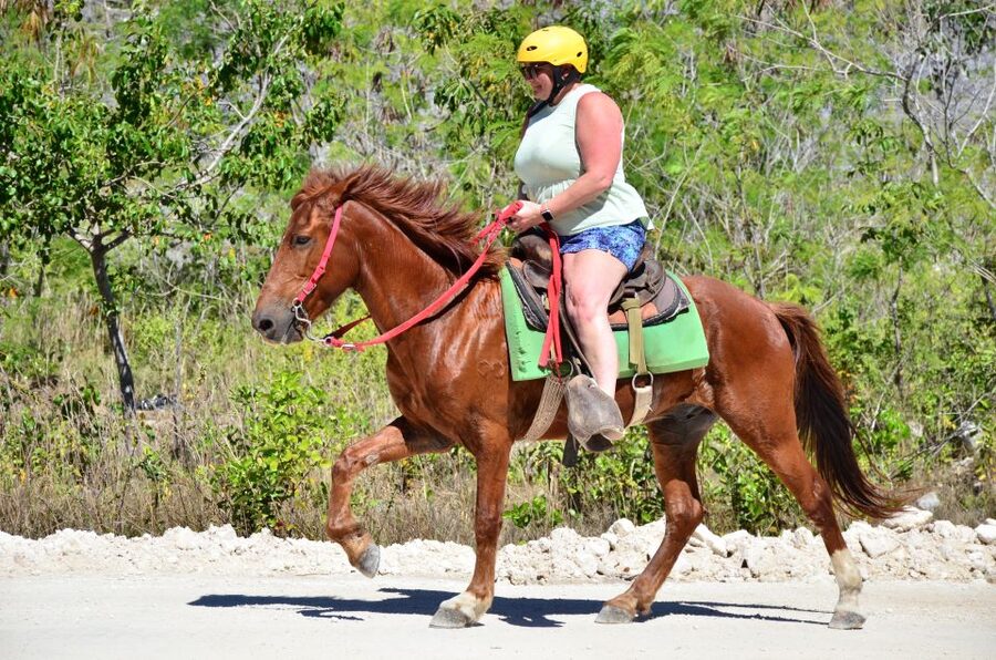 Punta Cana: Bávaro Adventure Park Horse Riding & Waterfalls - What the horseback ride is really like