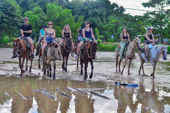 Punta Cana Beach Horseback Ride Paradise Coast Experience - Palm Trails and the First Stretch on Horseback