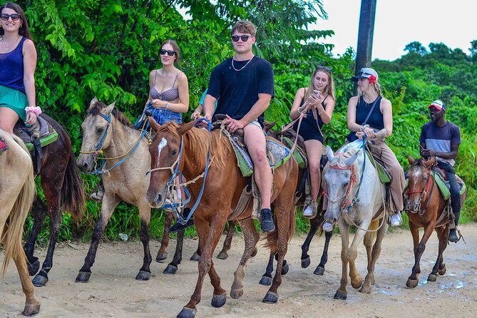 Punta Cana Beach Horseback Ride Paradise Coast Experience - The Dominican Farm and Organic Tastings