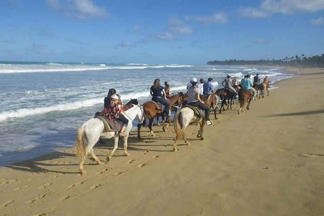 Punta Cana Beach Horseback Riding - Key points at a glance