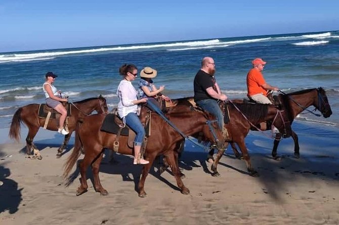 Punta Cana Beach Horseback Riding - Is $58 a good value?