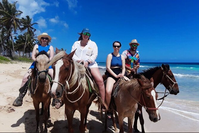 Punta Cana Horse Riding for Beaches in Field - Group size and the feel of the outing