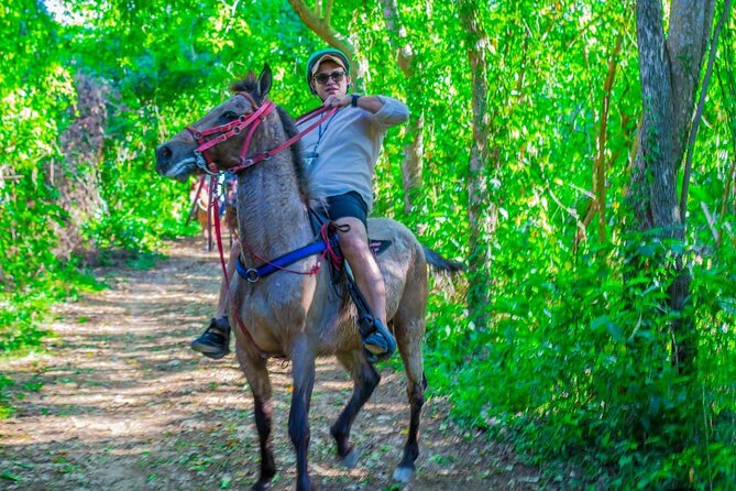 Punta Cana Horseback Ride: Jungle, Macao Beach & Free Pick Up - Quick facts about the ride