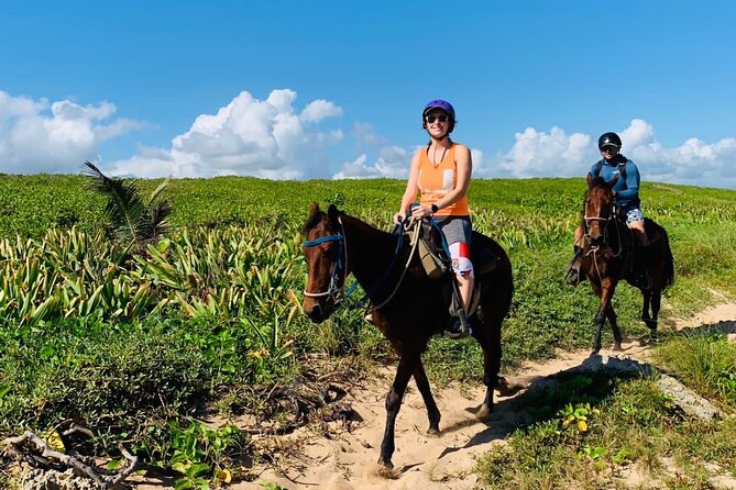 Punta Cana Horseback Ride: Jungle, Macao Beach & Free Pick Up - What to bring and what costs extra