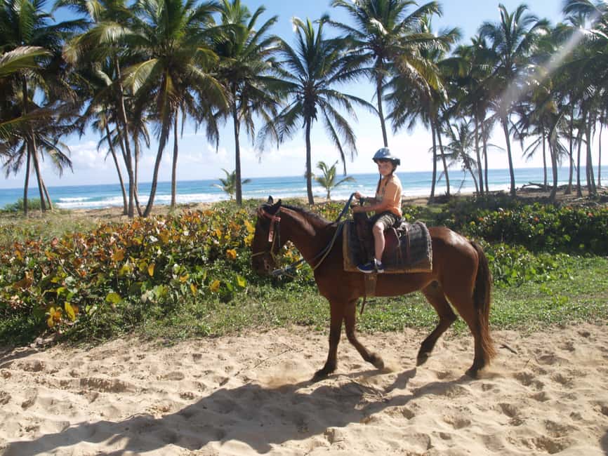 Punta Cana: Horseback Ride to Macao Beach - Through the forest toward Macao Beach