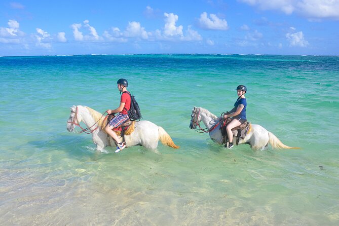 Punta Cana Horseback Riding Adventure - Key Points Before You Book