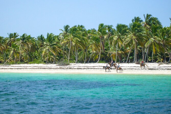 Punta Cana Horseback Riding Adventure - Swimming With Your Horse, With Some Limits