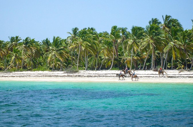 Punta Cana Horseback Riding Adventure - Guides, Safety, and Group Size