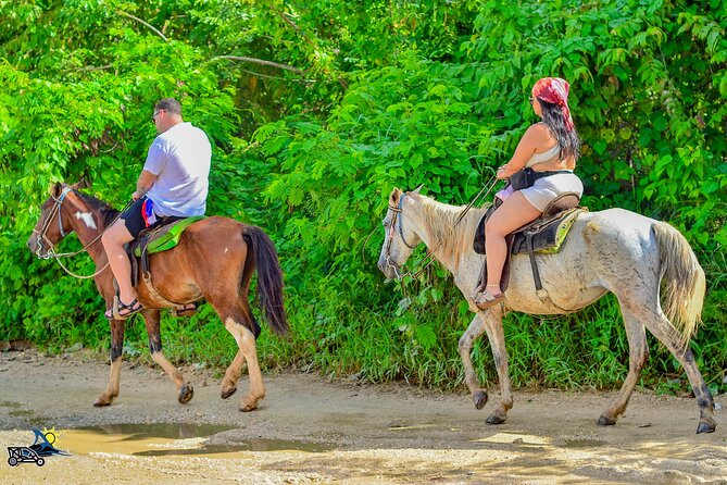 Punta Cana Horseback Riding Adventure on Macao Beach - Booking, cancellation, and timing notes