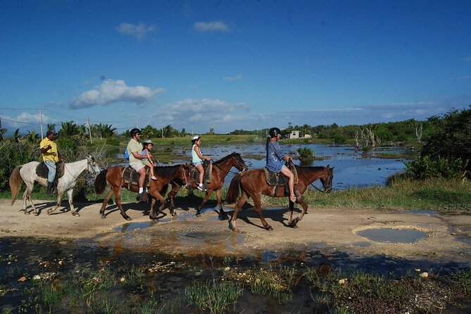 Punta Cana Horseback Riding on the Beach - A coconut stop with a small extra charge