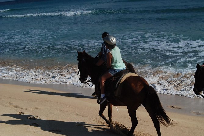 Punta Cana Horseback Riding on the Beach - Is $75 a fair price?