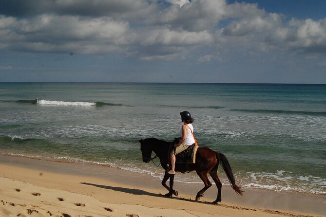 Punta Cana Horseback Riding on the Beach - Who will enjoy this ride most