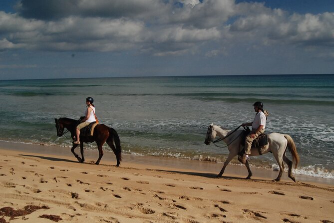 Punta Cana Horseback Riding on the Beach - What to bring and what to expect