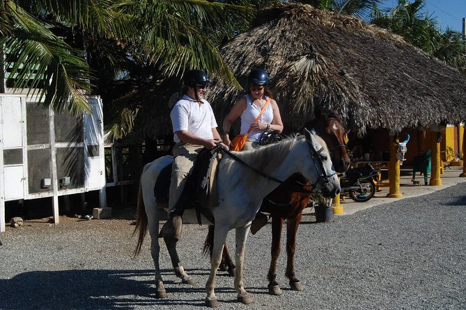 Punta Cana Horseback Riding on the Beach - The river meeting the sea