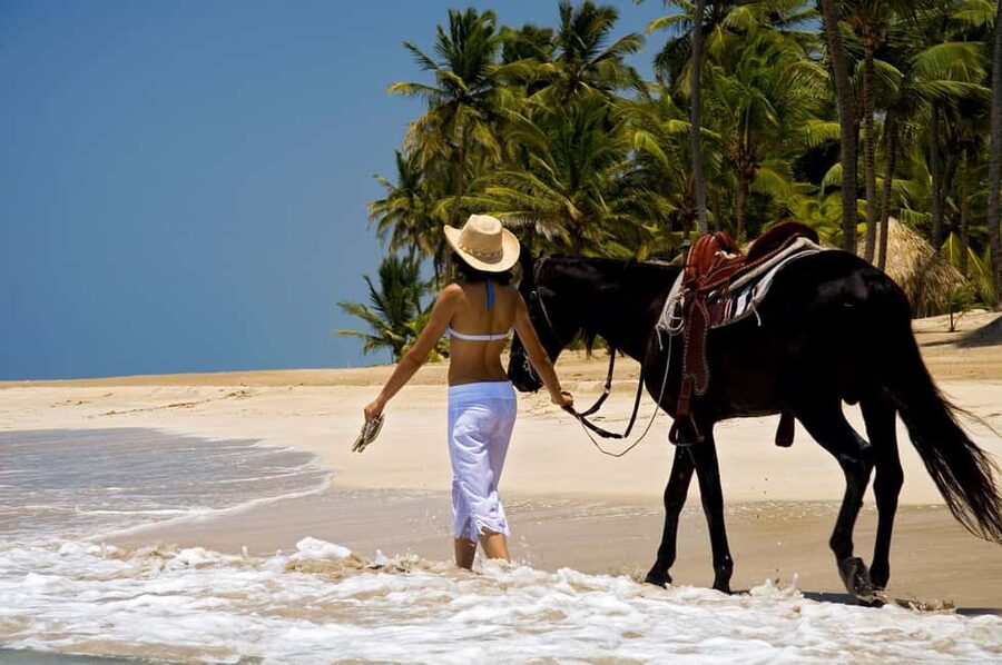 Punta Cana: Horseback Riding through Stunning Beaches - Key points to know before you book