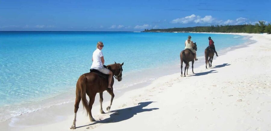 Punta Cana: Horseback Riding through Stunning Beaches - Why this ride appeals to beach lovers