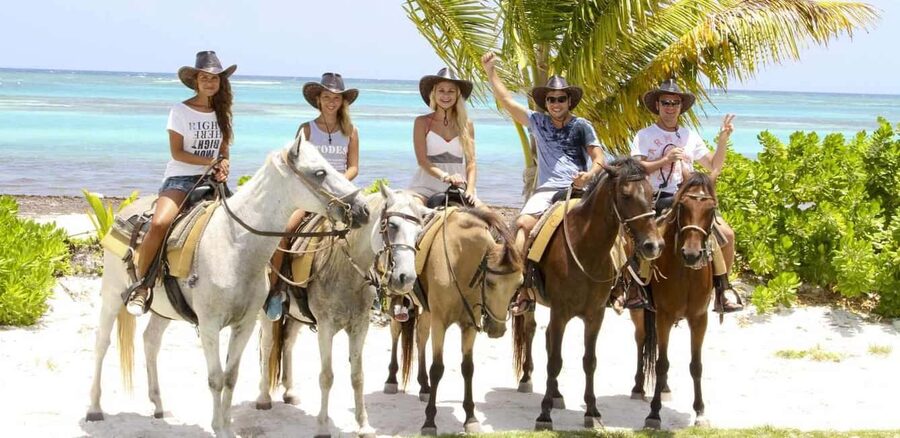 Punta Cana: Horseback Riding through Stunning Beaches - Meeting your horse and getting started