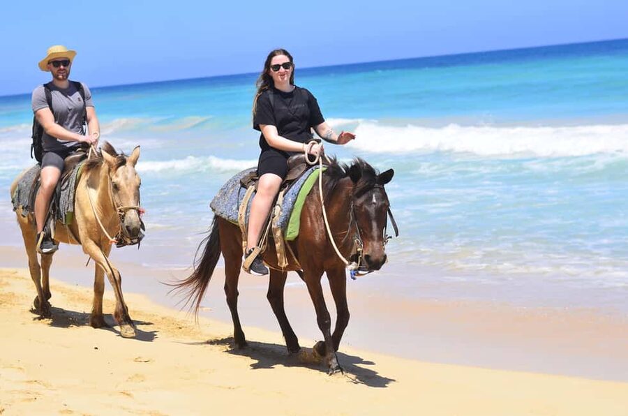 Punta Cana: Macao Beach & Forest Horseback Riding Tour - From Punta Cana hotels to the Macao countryside
