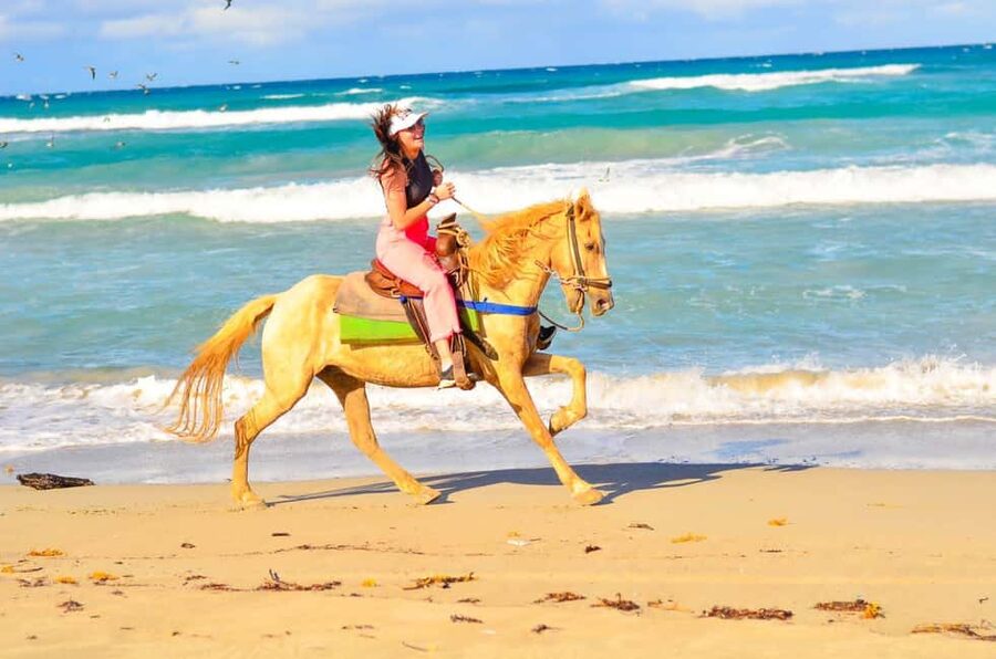 Punta Cana: Macao Beach & Forest Horseback Riding Tour - Riding onto Macao Beach