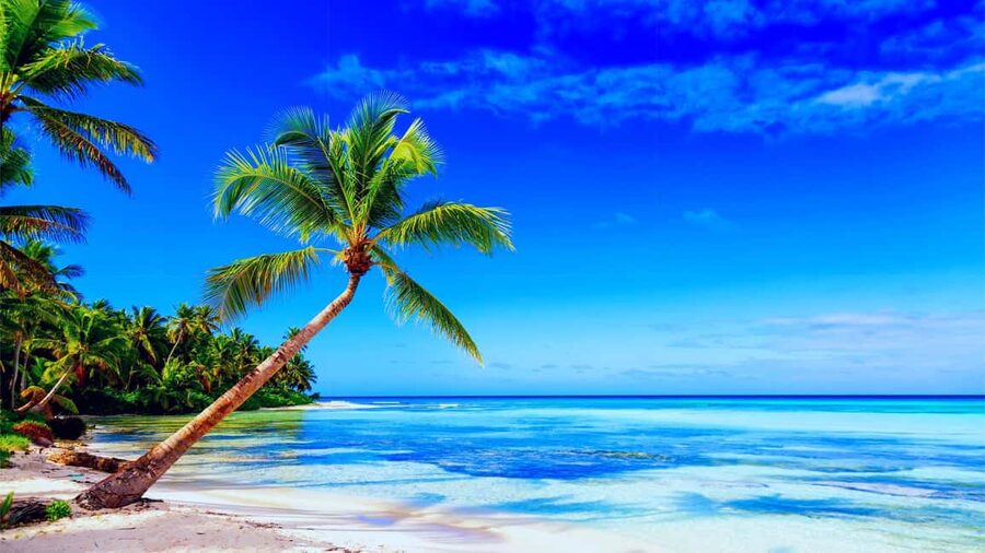 Punta Cana: Samaná Day Tour with Horse Ride and Cruise - Crossing Samaná Bay by catamaran