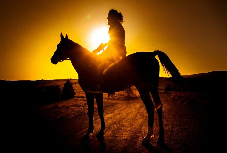 Punta Cana: Sunset Horseback Ride in Macao Beach and Forest - Meeting the horses and getting ready to ride