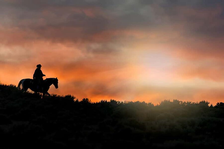 Punta Cana: Sunset Horseback Ride in Macao Beach and Forest - The shopping stop is useful, but not for everyone