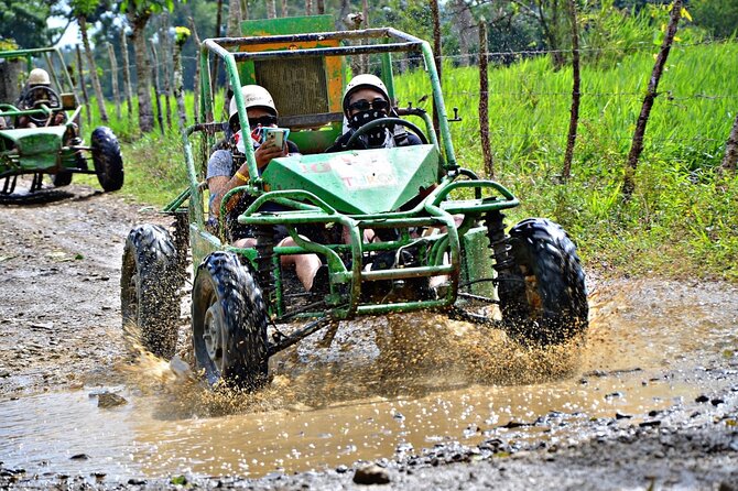 Punta Cana Zip Line, horse riding & Buggy - Key points to know before booking