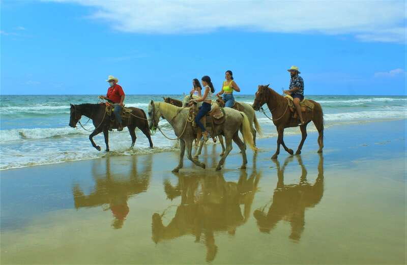 Punta de Mita/Sayulita: Horseback Riding Tour - Guides, safety, and comfort