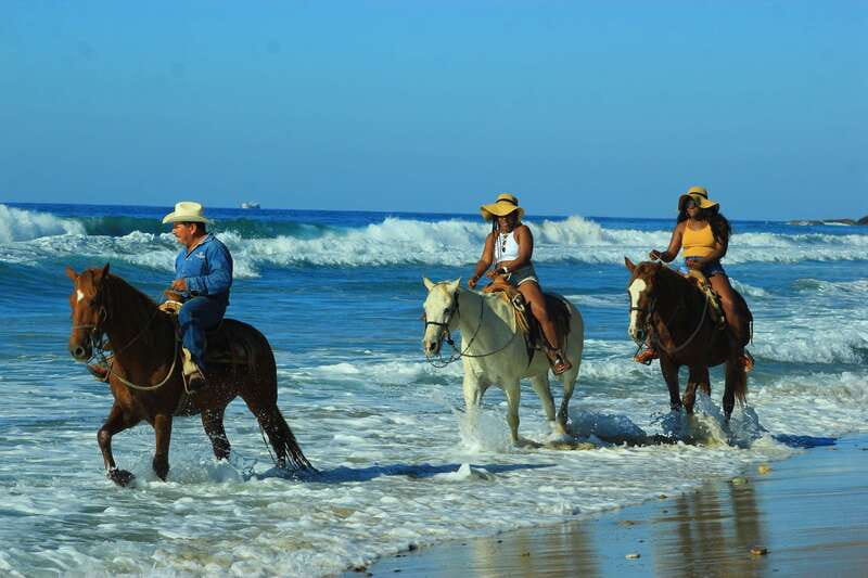 Punta de Mita/Sayulita: Horseback Riding Tour - Arriving at the ranch with animals everywhere