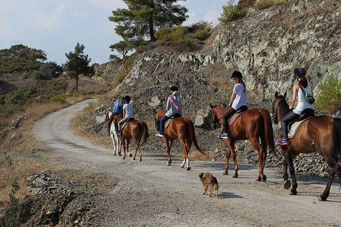 Quad Biking and Horse Riding; Super Combo Tour from Marmaris - Foam party and the final part of the outing