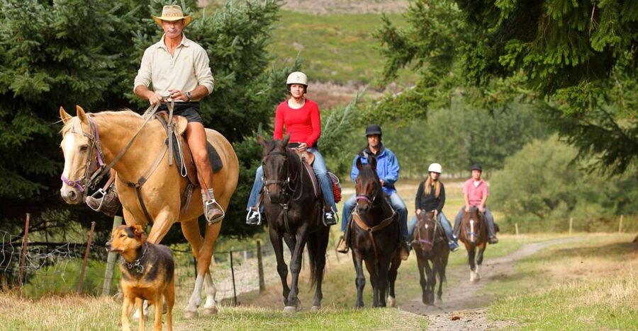 Queenstown: Walter Peak Horse Trek & Queenstown Lake Cruise - The 45-minute cruise across Lake Whakatipu