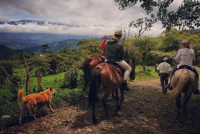 Queveri Horseback Riding Tours - Key points to know before you go