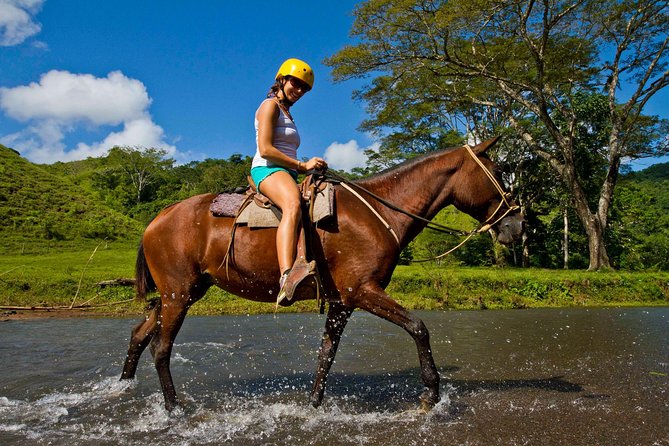 Rainforest Magic Horseback Riding Waterfall Tour Private Park Setting - Choosing a horse for a first ride