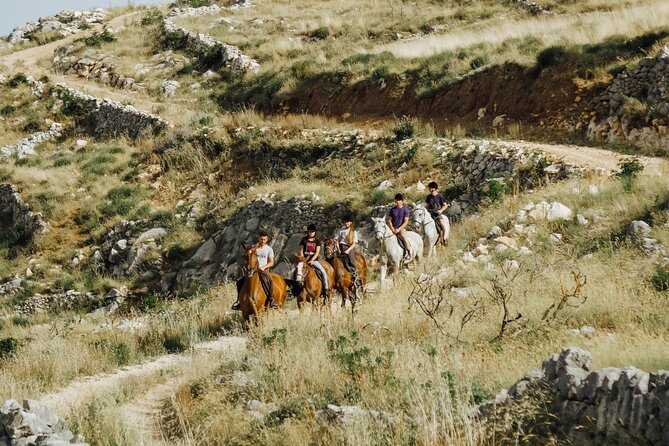 Ranch 22 Podstrana, " Horse riding 12 km from SPLIT " - Why this ride makes a good break from Split