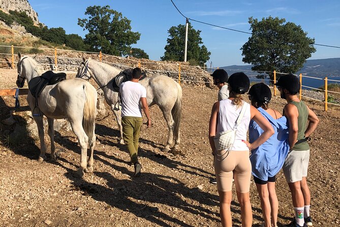 Ranch 22 Podstrana, " Horse riding 12 km from SPLIT " - Following the old Roman trail over Perun