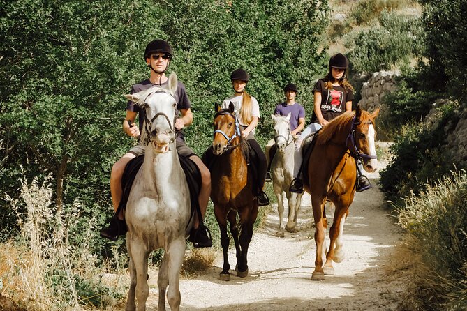 Ranch 22 Podstrana, " Horse riding 12 km from SPLIT " - What the two-hour timing really means
