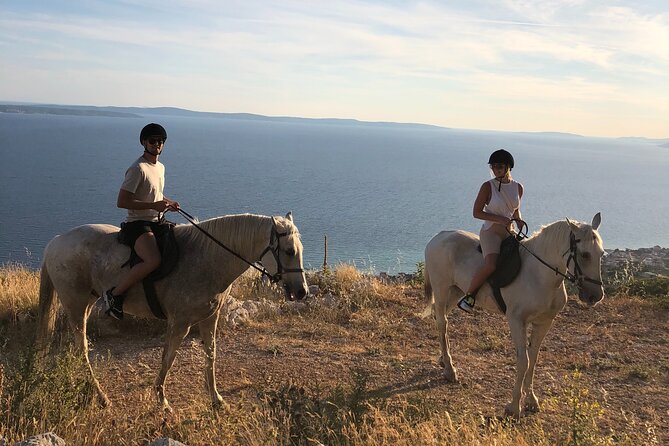 Ranch 22 Podstrana, " Horse riding 12 km from SPLIT " - Who will enjoy Ranch 22 most