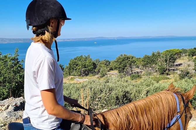 Ranch 22 Podstrana, " Horse riding 12 km from SPLIT " - Meeting the horses at Gornja Podstrana