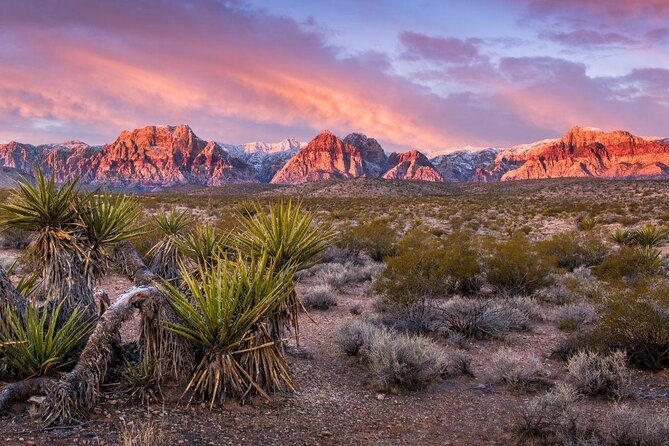 Red Rock Canyon Sunset Horseback Ride and Barbeque Dinner - At a glance: what makes this ride special