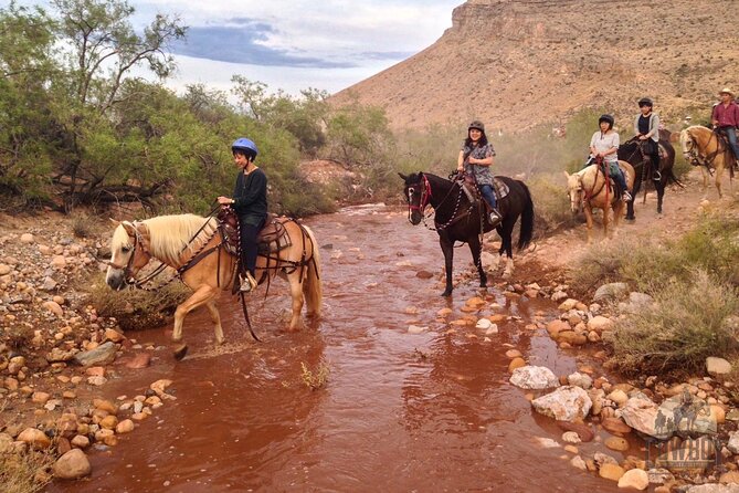 Red Rock Canyon Sunset Horseback Ride and Barbeque Dinner - A hearty barbecue beside the campfire