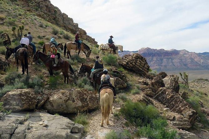 Red Rock Canyon Sunset Horseback Ride and Barbeque Dinner - Who should book this Red Rock evening?