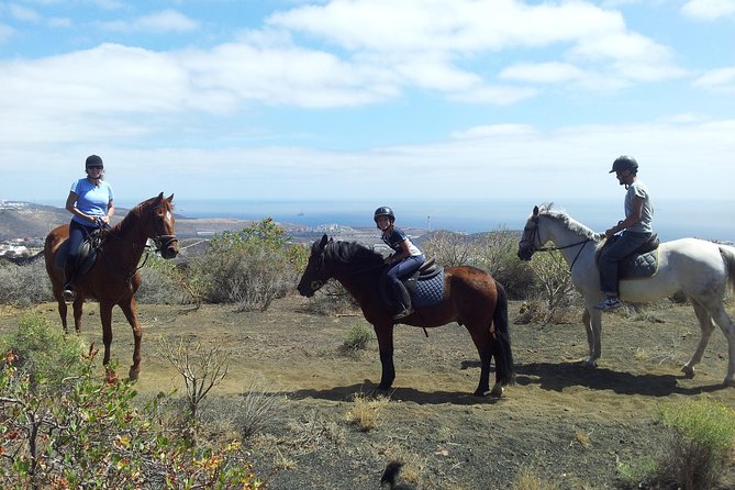 Relaxing Horse Riding Tour in Gran Canaria - A Gentle Start at Horse Riding Canaria
