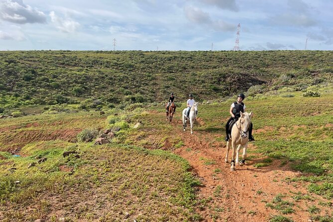 Relaxing Horse Riding Tour in Gran Canaria - Why This Ride Works for First-Time Riders
