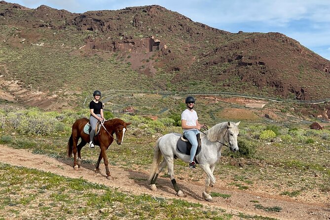 Relaxing Horse Riding Tour in Gran Canaria - How Much Value You Get for $42.17