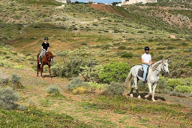 Relaxing Horse Riding Tour in Gran Canaria - Family Comfort and Pace