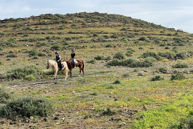 Relaxing Horse Riding Tour in Gran Canaria - How This Ride Compares With a Full Horse Trek