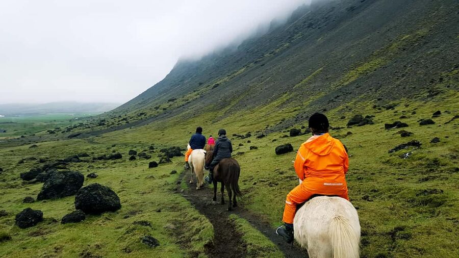 Reykjadalur: Horseback Riding Tour for Families & Beginners - Who should book this experience