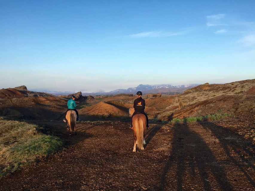 Reykjavik: Evening Sleipnir Horse Riding Tour with Pickup - Why this ride works well near Reykjavík